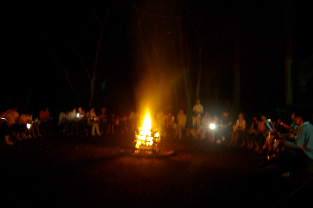 ����̕���_06